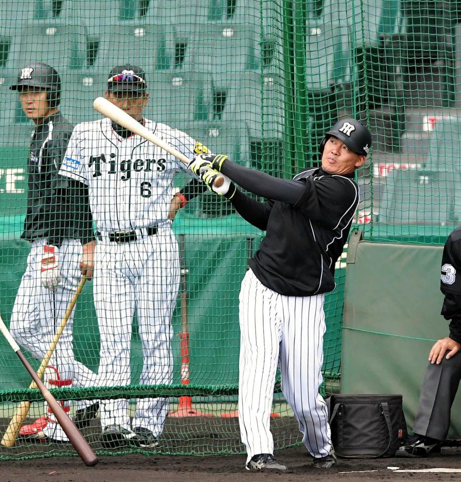 　打撃練習する福留（撮影・北村雅宏）