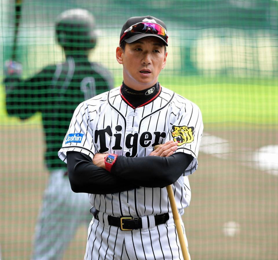 　阪神・金本監督