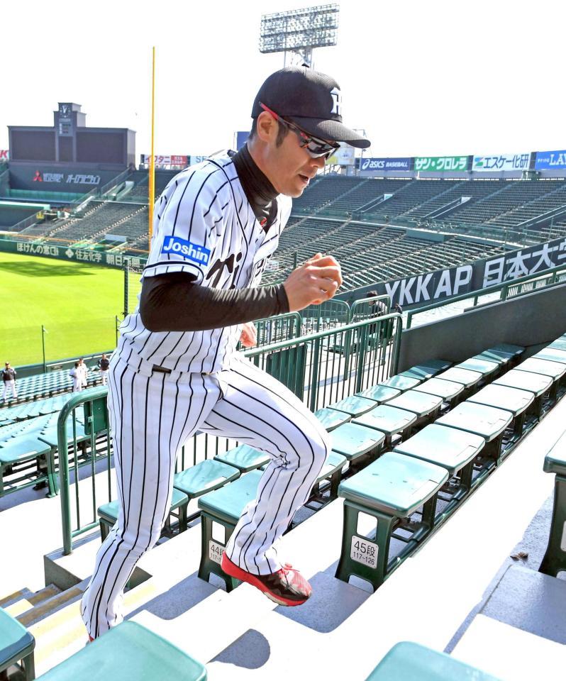 　アルプススタンドの階段を駆け上がる西岡（撮影・飯室逸平）