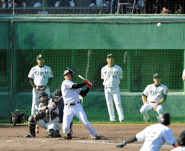 阪神が紅白戦　白組４番は二塁・大山、紅組の二塁は一番・西岡