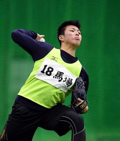 キャッチボールする阪神・馬場皐輔＝甲子園（撮影・山口登）