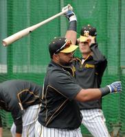 打撃練習する阪神・ロサリオ＝宜野座（撮影・堀内翔）