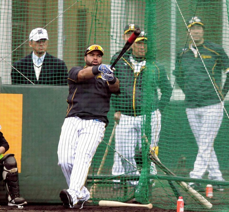 　金本監督（中央右）の前で力強い打撃を見せるロサリオ（撮影・田中太一）