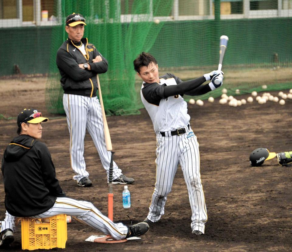 　打撃練習する北條。後方は金本監督