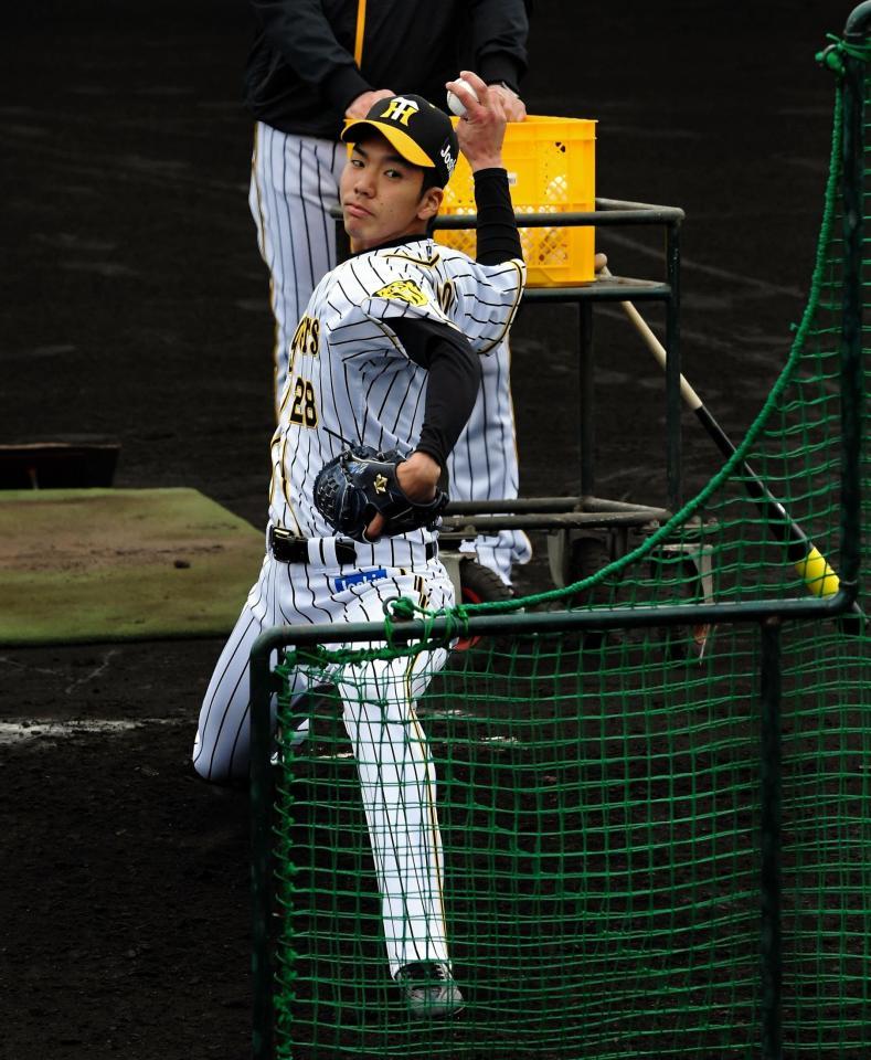 打撃投手を務める阪神・小野＝宜野座（撮影・堀内翔）