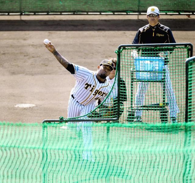 モレノ、高速カットも使える　入団後初の打者相手、若虎２人封じ込めた