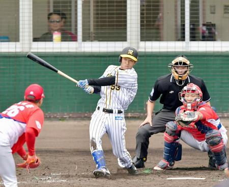 ５回阪神無死一塁、２ランを放つ阪神・島田＝宜野座（撮影・立川洋一郎）