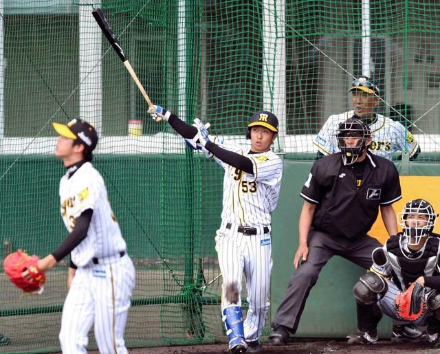 ドラ4島田 3球連続打に首脳陣高評価 金本監督「おもしろい。初めて見たね」