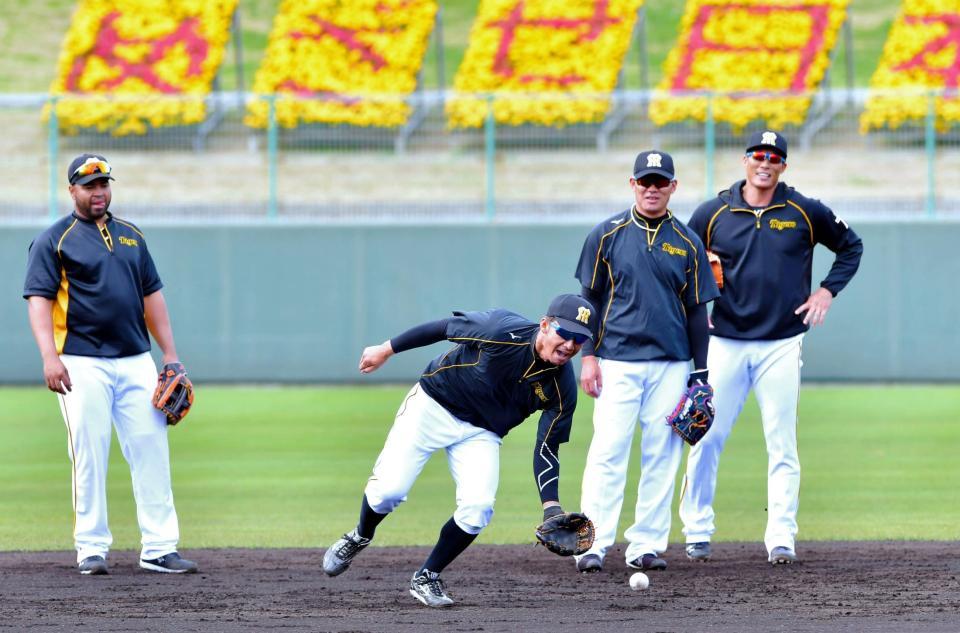 　残留組の（右から）糸井、福留とロサリオ（左）らとノックを受ける阪神・鳥谷