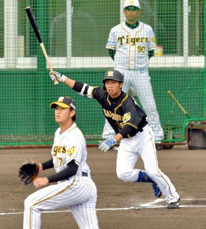 紅白戦の紅組５回１死一、二塁、タイムリーを放つ阪神・島田（投手・岩貞）＝宜野座（撮影・立川洋一郎）