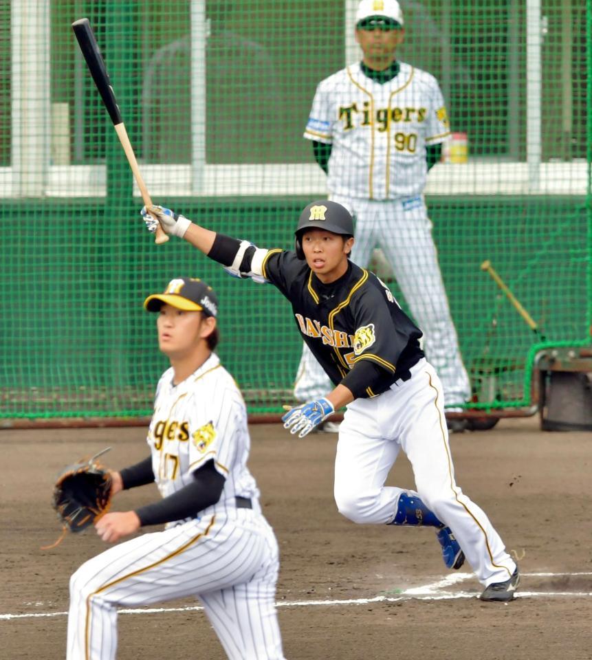 紅白戦の紅組５回１死一、二塁、タイムリーを放つ阪神・島田（投手・岩貞）＝宜野座（撮影・立川洋一郎）