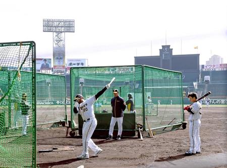　バックスクリーンを背にティー打撃をするロサリオ