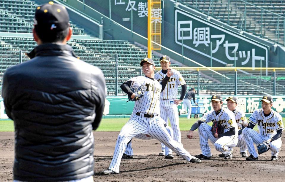 　金本監督（手前）が見つめる前で投球する高橋遥