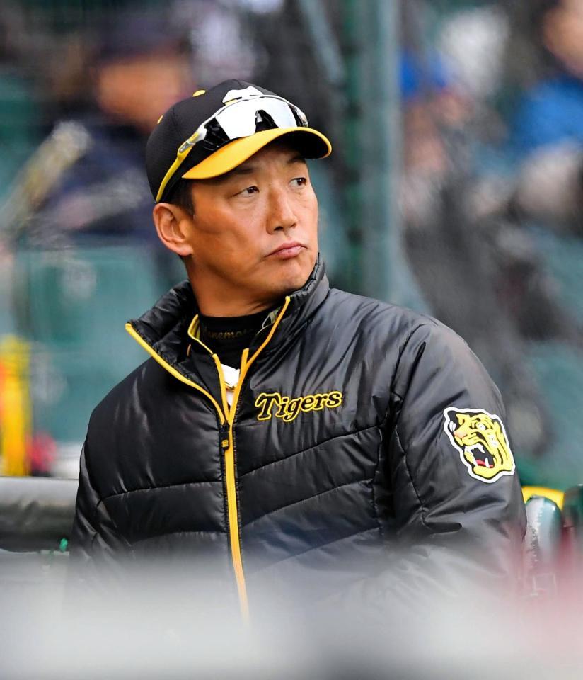 ８回終了後、選手交代を告げベンチに戻る阪神・金本知憲監督＝甲子園（撮影・高部洋祐）