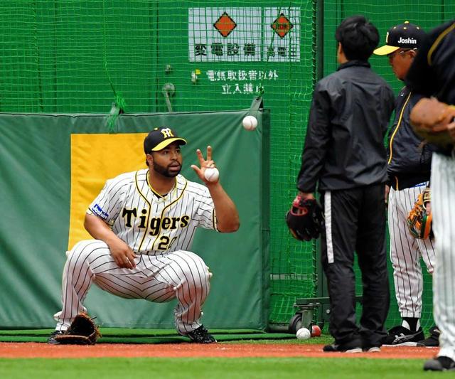 ロサリオ捕手起用封印 故障リスク 怖い 金本監督明言 信頼変わらん 打撃専念や タイガース デイリースポーツ Online