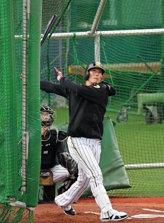 打撃練習する阪神・糸井嘉男＝京セラドーム大阪（撮影・北村雅宏）