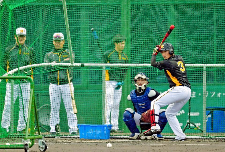 　金本監督（左から２人目）の前でフリー打撃をする大山（撮影・立川洋一郎）