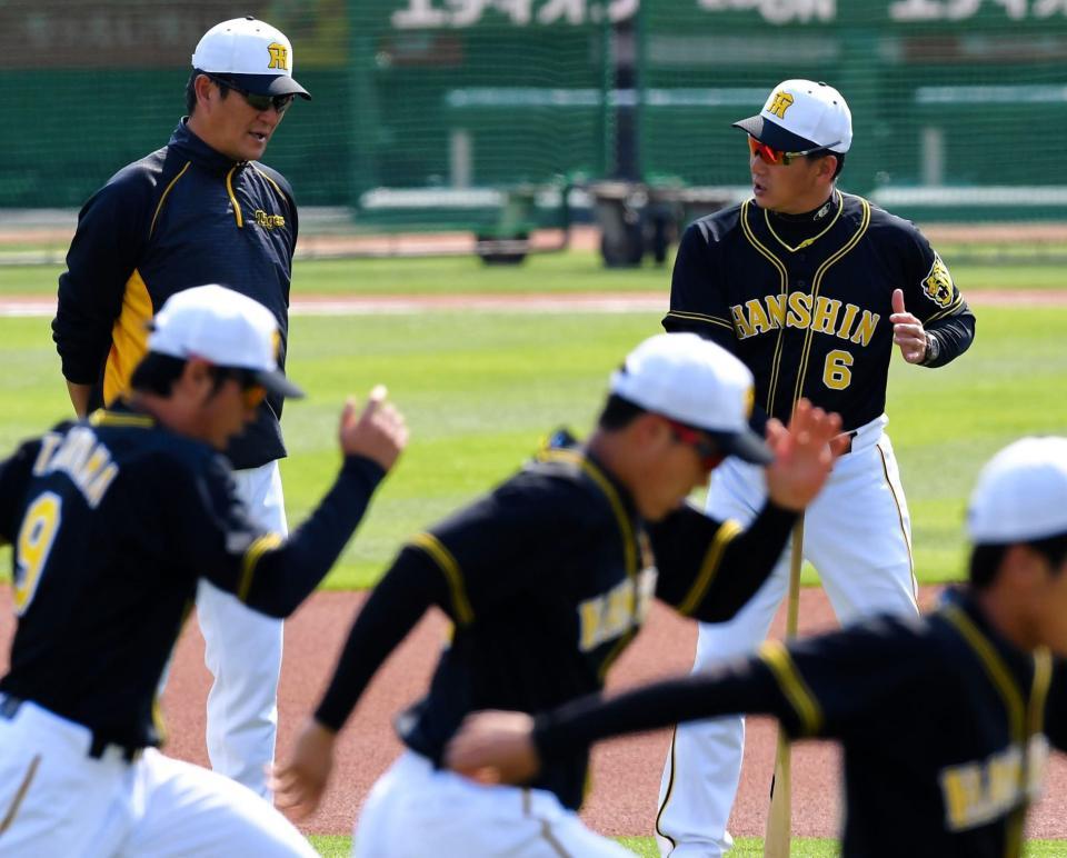 阪神・片岡コーチ（奥の左）と打撃談義を交わしながら、ナインの練習を見守る金本監督（同右）＝マツダスタジアム