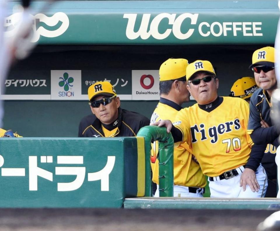 ６回、ＤｅＮＡ・嶺井が打席に入るもベンチの阪神・金本監督（左）は申告敬遠をせず勝負に出る