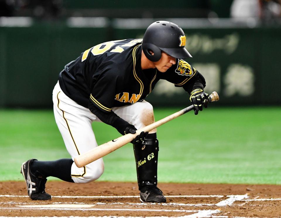 ６回阪神無死、四球を選ぶ植田＝東京ドーム（撮影・西岡正）