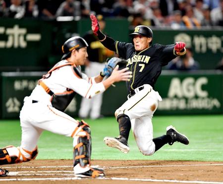 　６回、福留の２点適時打で生還する糸井（捕手・小林）＝撮影・西岡正