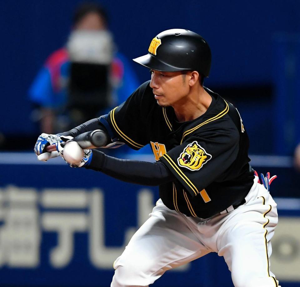 ９回、犠打を決める鳥谷＝ナゴヤドーム