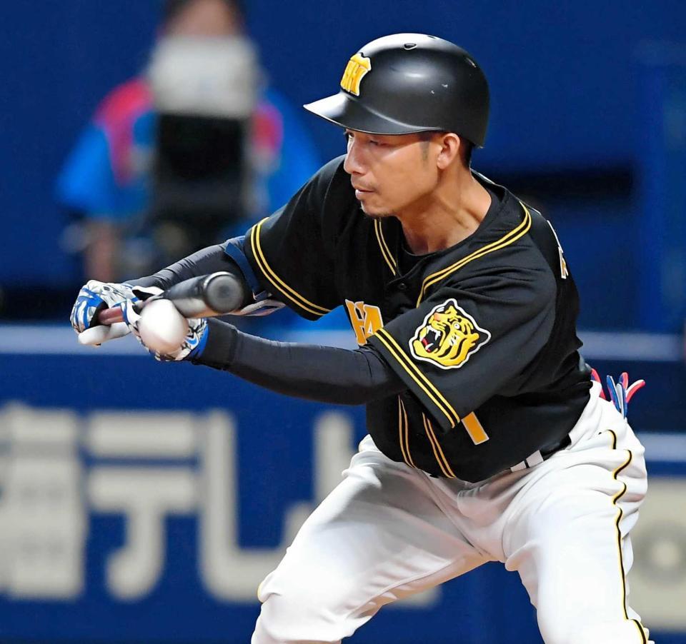 　９回、犠打を決める鳥谷