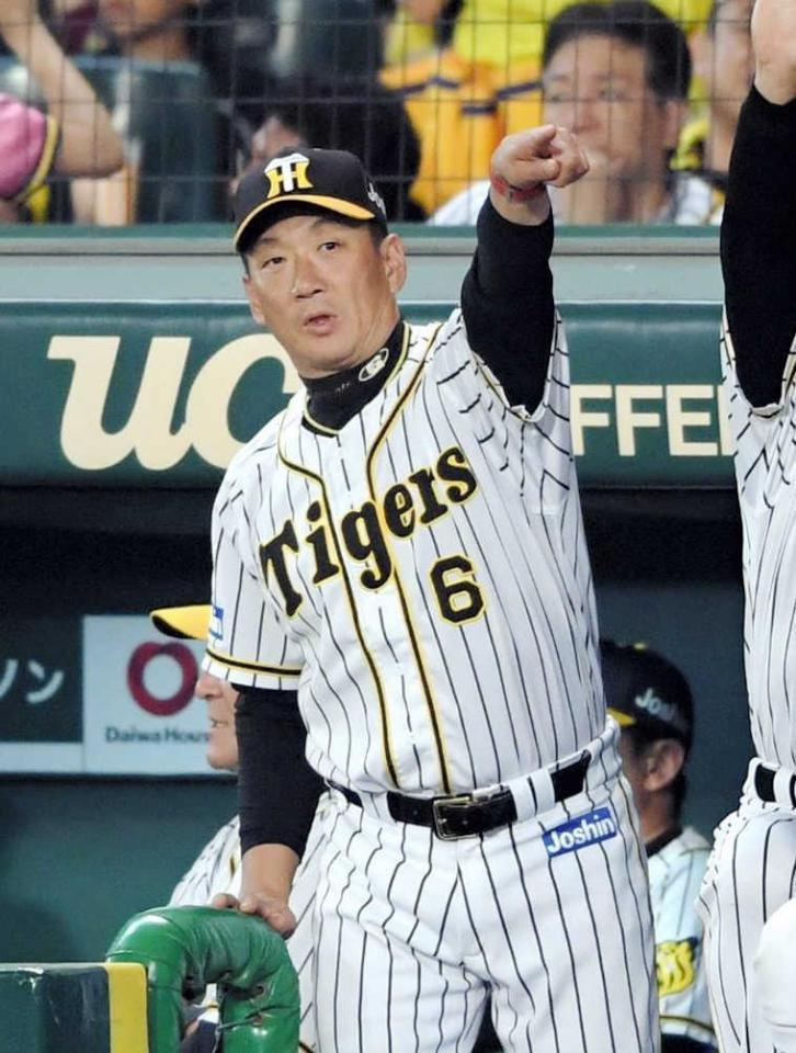 　交流戦６連戦で、２カード連続勝ち越しを狙う金本監督