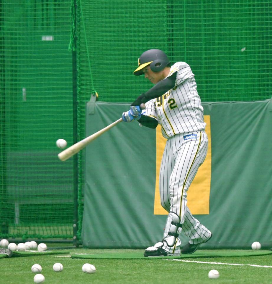 打撃練習する阪神・北條史也＝甲子園（撮影・山口登）