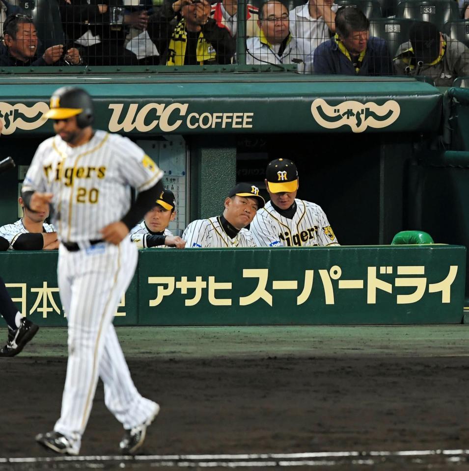 ８回、ベンチで厳しい表情を見せる阪神・金本監督（中央）。手前は四球で出塁する