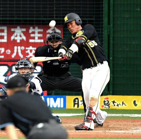 ８回、２ランを放つ阪神・陽川尚将＝メットライフ（撮影・棚橋慶太）