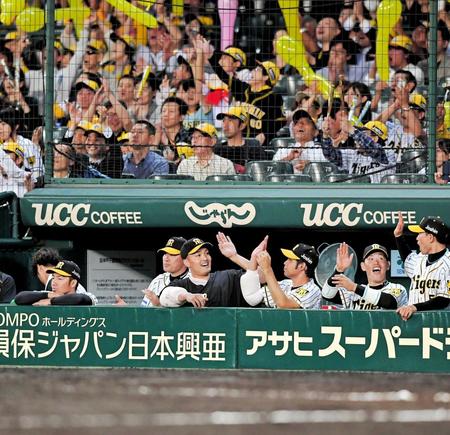 　勝利の瞬間、桑原（右から２人目）とタッチを交わす秋山。この日、入場者全員に配られた“黄炎”キャップをかぶったファンも大喜び＝撮影・高部洋祐