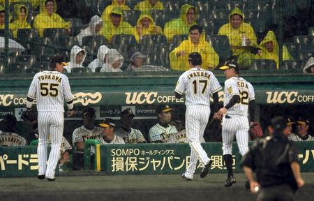 試合開始直前、雨脚が強くなりベンチに戻る阪神ナイン＝甲子園（撮影・山口登）