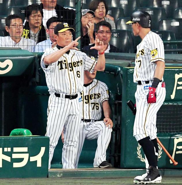 金本監督、交流戦ドロー締めも「前向きに」　ミス山積も敗戦免れた