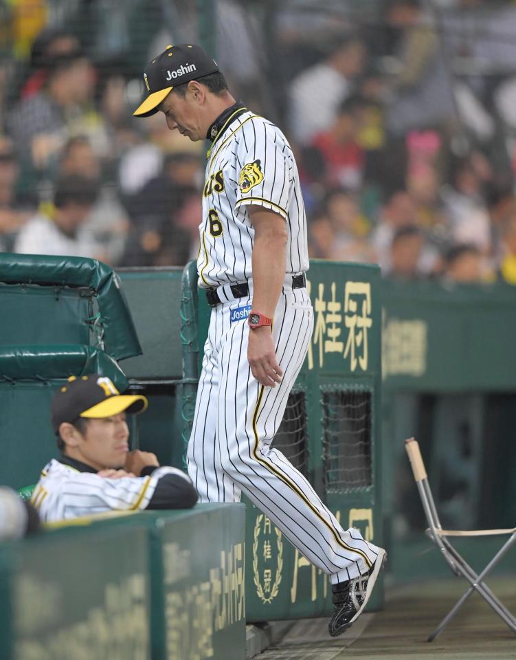 　６回の攻撃を終え、選手交代を告げた阪神・金本知憲監督
