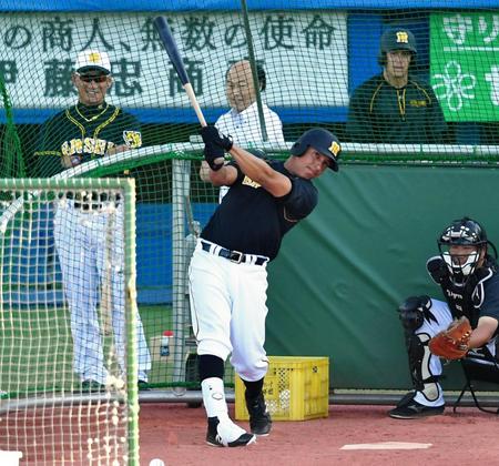 　１軍に昇格し、打撃練習をするナバーロと笑顔で見守る金本監督（左奥）＝撮影・出月俊成