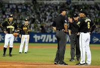 　７回、北條（左）のプレーが野選となり、審判に確認する金本監督（右）＝撮影・田中太一