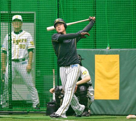 　フリー打撃で快音を響かせる陽川（撮影・高部洋祐）