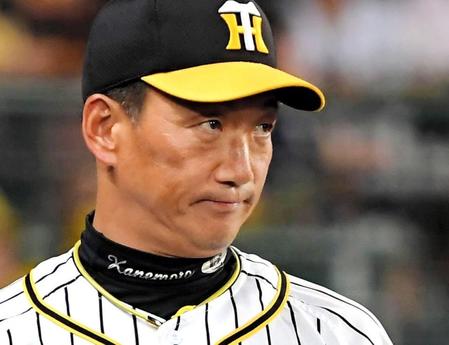 選手交代を告げ、グラウンドを見つめる金本監督（撮影・高部洋祐）