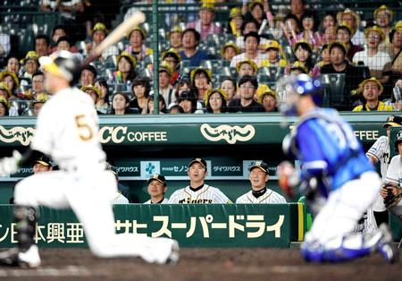 　９回、伊藤（左手前）が空振り三振に倒れ、悔しがる金本監督（ベンチ内右端）＝撮影・田中太一