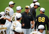 秋山（中央左）と笑顔で話すナバーロ＝甲子園（撮影・坂部計介）