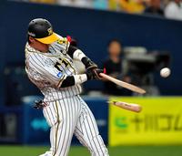 　６回、バットを折りながらも同点の適時打を放つ陽川（撮影・高部洋祐）
