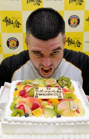 　３７歳のバースデーケーキに豪快にかぶりつくメッセンジャー＝甲子園（撮影・高部洋祐）