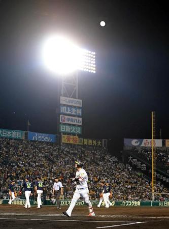 最後の打者・俊介（手前）が一飛に倒れ試合終了　