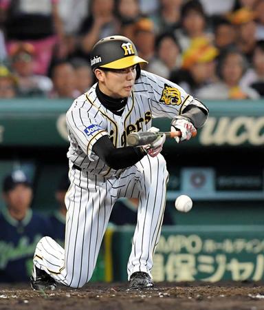 ５回、バント安打を決める阪神・才木浩人＝甲子園（撮影・高部洋祐）