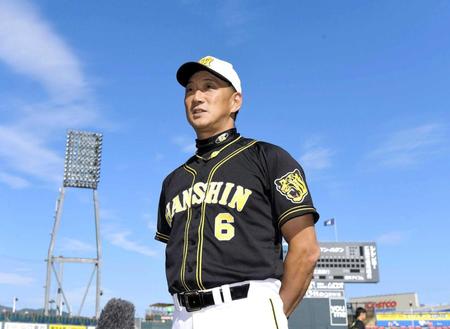 　引退を表明した広島・新井について話をする金本監督（撮影・北村雅宏）