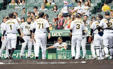 試合前、円陣のため集まるナインを見つめる阪神・金本知憲監督＝甲子園（撮影・田中太一）