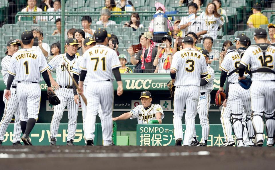 試合前、円陣のため集まるナインを見つめる阪神・金本知憲監督＝甲子園（撮影・田中太一）