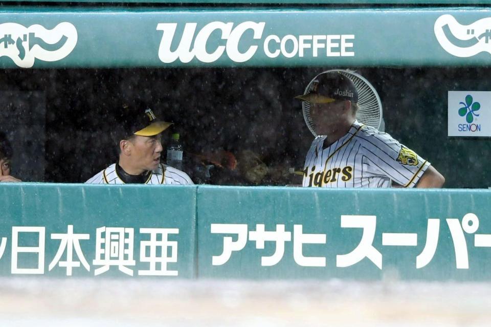 ベンチで阪神・糸井嘉男（右）と話をする阪神・金本知憲監督＝甲子園（撮影・田中太一）