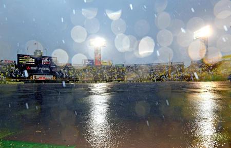 　激しい雨が降り注ぎ、ノーゲームとなった甲子園球場（撮影・田中太一）